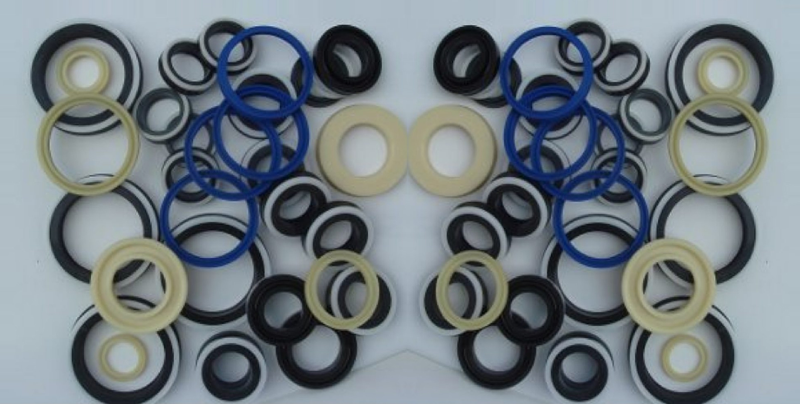 HYDRAULIC SEAL KIT